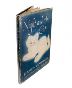 Night and the Cat cover photo